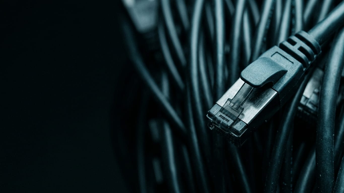 Illustration for this article: AI Output Validation in 2026. A dense bundle of unbranded patch cables, sharp at one connector and falling out of focus behind.