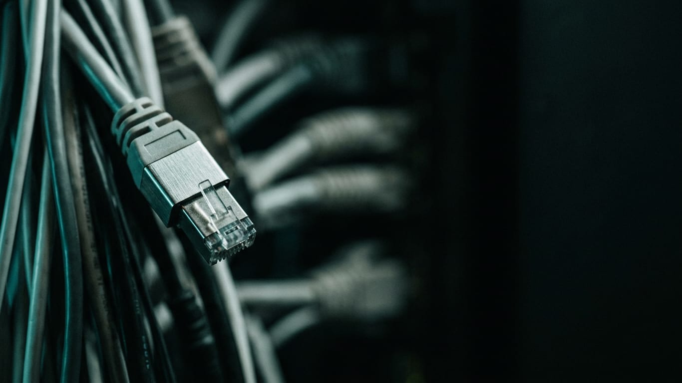 Illustration for this article: Regional AI endpoints do not keep all data in the EU. A dense bundle of unbranded patch cables, sharp at one connector and falling out of focus behind.